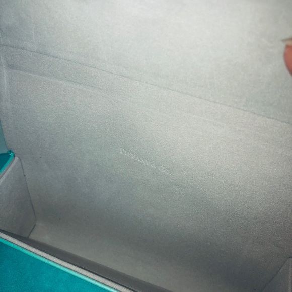 ?Brand New Tiffany & Co. Sunglasses Case Kit